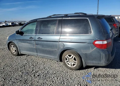 2006 Honda Odyssey Exl z USA, uszkodzony, nr VIN 5FNRL38686B504377